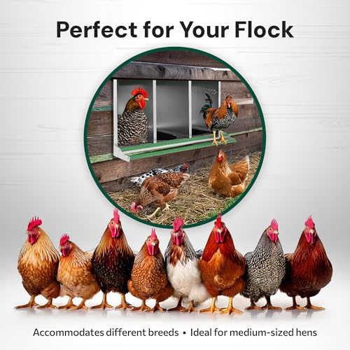 3 Compartment Reverse Chicken Nesting Boxes (Classic)