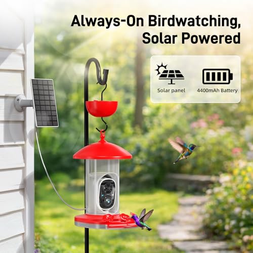Hummingbird Feeder with Camera Outdoor, 5MP HD Smart Hummingbird Feeder Camera Solar Powered, AI Bird Identification, Ant Moat & Bee Proof, APP Alerts, Hanging or Pole Mount, Gift for Bird Lovers