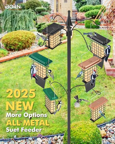 iBorn Suet Feeder with Tail Prop,Woodpecker Feeder,Suet Feeders for Outside Hanging,Suet Bird Feeders for Outdoors,Heavy-Duty Suet Cage,Suet Holder,Rainproof Roof,Easy Clean and Refill,1 Pack,Green - color: Green, size: Single Capacity