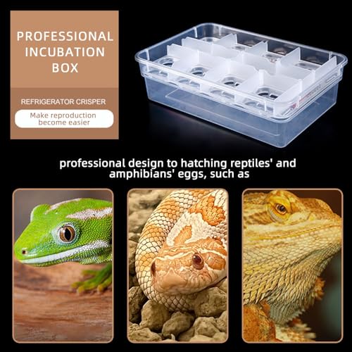 20 Grids Reptile Breeding Box, Reptile Egg Incubator Plastic Reptile Egg Incubator Tray Amphibians Hatchery Box Case for Hatching Gecko Lizards Lions Mane Without Thermometer