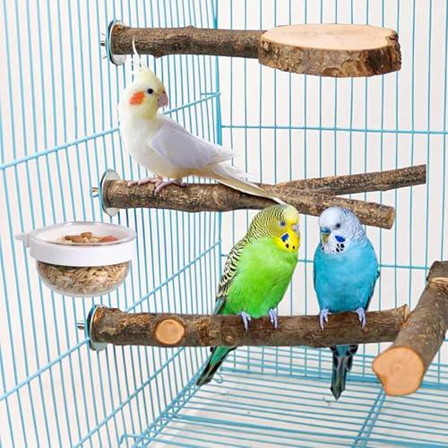 6 Pack Detachable Transparent Bowls Convenient Hanging Seed Water Feeder Bird Food Bowl Plastic Cage Feeder Cups for Parakeet Small Size Birds