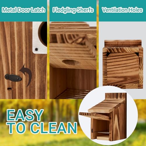 2 Pack Bird Houses for Outside, Outdoors Birdhouse Feeder for Bluebird,Cardinal,Purple Martin and Sparrow,Wooden Cedar Hanging Birds Nest,Easy to Clean,No Assembly Needed - style: Box