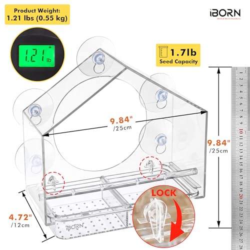 Window Bird Feeder, Wind-Proof Tray Lock, Chew-Resistant PC, Clear 1 PK | 5 Suction Cups, Sliding Tray, Extra Perch Ring, Weather-Resistant, Easy to clean, Durable for Outdoor