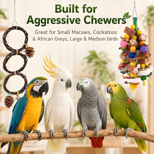 Bird Toys for Parrots - Natural Wood Parrot Toys Large Birds Chewing Fun Toy Set | Foraging Shredding Hanging Cage Accessories for Budgies Cockatiels Conures Macaws Lovebirds