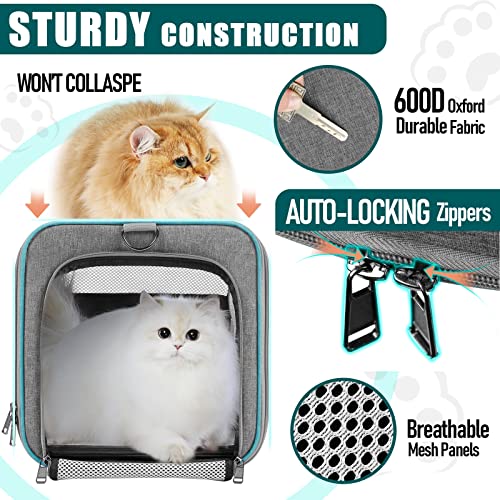 GAPZER Large Cat Carrier Soft, Collapsible Travel Pet Carry Bag, Small Dogs | Large Cats up to 20 lbs+ Maine Coon, Top Load Transport Small Puppy Dog Crate, Chihuahua Mini Dog 10lbs, Sturdy Mesh Grey - color: Grey