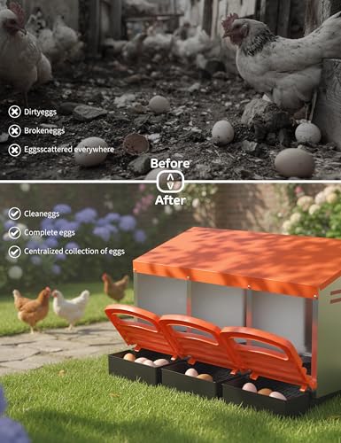 GarveeLife Chicken Nesting Box 3 Hole, Galvanized Steel Nest with Roll Away Egg Collection & Swing Perch, Easy-Clean Laying Box for Hens, Heavy Duty Design for Chicken Coop - color: Orange, size: 3 holes