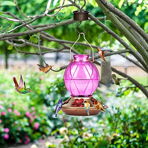 Hummingbird Feeders for Outdoors Hanging, Glass Hummingbird Feeder, Wild Bird Feeder with Five Feeding Ports, 20 Ounces, 2 Pack, Purple and Blue, Birthday Gifts for Women Men, Gifts for Mom Dad