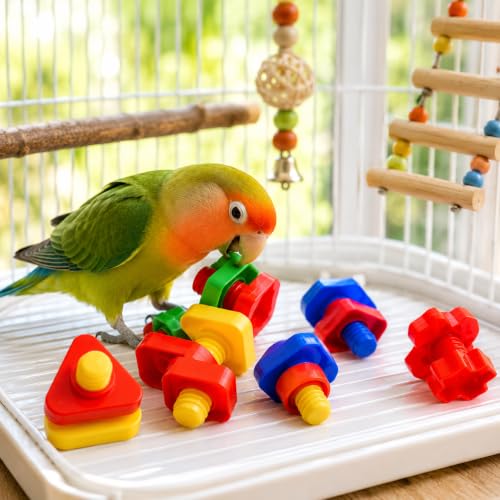3505 Pk6 Huge Nuts and Bolts Colorful Enticing Large Screw Interactive Foot Beak Throw Parrot Cockatoo Amazon African Grey Macaw Hyacinth