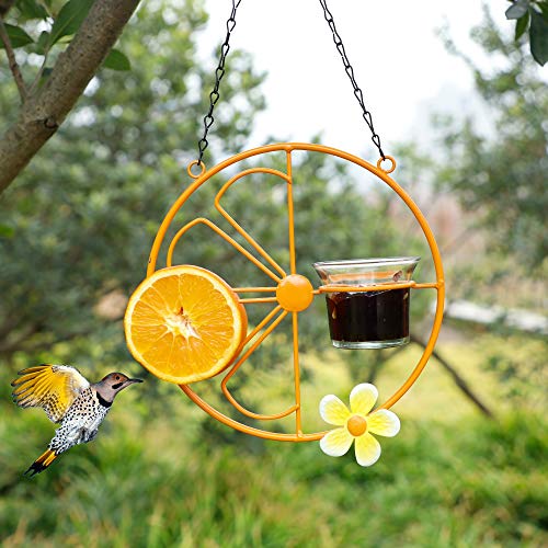 FORUP Oriole Bird Feeder for Outdoors Jelly and Oranges, Orange Fruit Oriole Jelly Bird Feeder, Outdoor Garden Metal Hanging Drinking Grape Jelly Container Hummingbird Feeder, Two Pack
