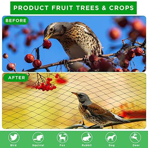 Windyun 1 Pcs Bird Netting 50' X 50', 2.4" Mesh Poultry Net for Garden | Heavy Duty Reusable Poultry Barrier for Fruit Tree, Vineyard, Chicken Coop Protection Against Deer, Hawk, Squirrel - size: 50' X 50'