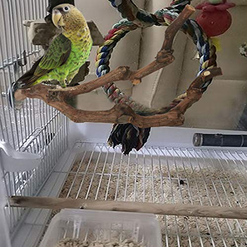PINVNBY Natural Parrot Perch Bird Stand Pole Wild Grape Stick Paw Grinding Fork Parakeet Climbing Standing Branches Toy Chewable Cage Accessories for Small Lovebirds Budgies Cockatiels 2PCS - size: 9.8in