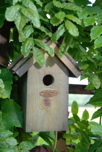 Esschert Design Wren Bird House - Antique Wash
