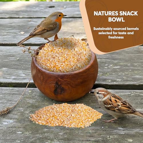 Cracked Corn 10 lb – Premium Bird Seed & Wildlife Feed for Ducks, Deer, Squirrels, Chickens, and Turkeys – Cracked Corn for Wild Birds – Grown in USA