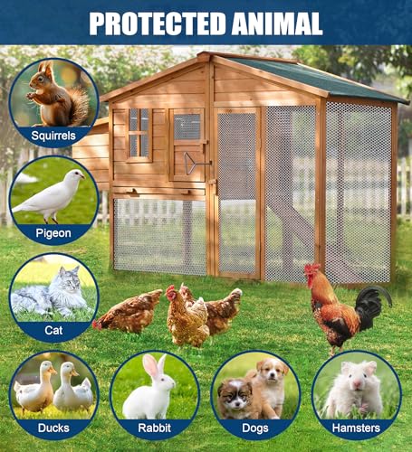 15.7in*10ft White Plastic Chicken Wire Mesh | Ideal for decorative fences, poultry, rabbits, dogs, garden beds, balcony screens, floral guards & DIY.Easy to cut and bend - color: 10ft White