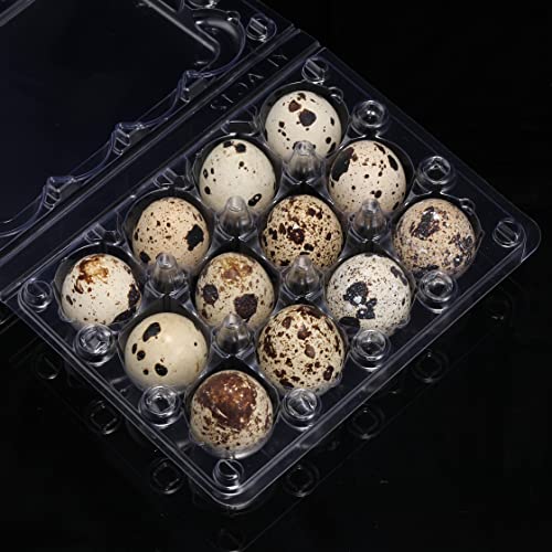 60 Pcs Quail Egg Cartons, Cheap Bulk Plastic Square Dozen Egg Carton | Classical 3x4 Style Holds Up to Twelve 12 Count Small Quail Pigeon Eggs, Boxes Tray Basket Container for Refrigerator