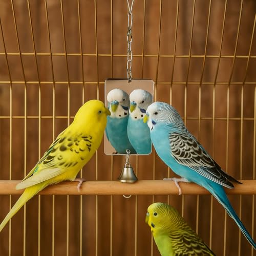 Acrylic Bird Mirror for Small Birds, Parrot Cage Toys 1PC (4.72" x 3.14") – Clear Unbreakable Hanging Mirror Cage Accessory for Parakeet, Cockatiel, Conure, Lovebirds, Budgies - size: 3.14''W * 4.72''H