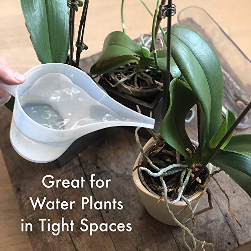 Fox Run Easy Pour Measuring Cup with Funnel Spout, 3.5, Clear Plastic | Mess Free Pouring | 3.5 Cup Capacity Measuring Cup With Long Spout | Easily Dispense Batter | Great For Watering Plants