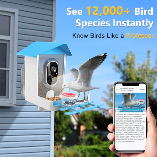 Solar Powered Bird Feeder with Camera: One Full Charge Lasts for Weeks
