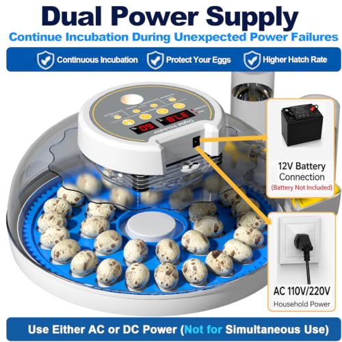 32 Quail Egg Incubator for Hatching Eggs, Dual Power Supply, Automatic Egg Turner, Humidity & Temperature Monitor, Egg Candler, External Water Filling, Bird Egg Incubator for Quail Dove