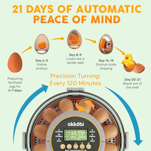 12 Egg Incubator with Automatic Egg Turning and Humidity Control – Temperature Adjustment – incubators for hatching eggs – Built-in Egg Candler – Incubadora de Huevos de Gallina – Easy to Use