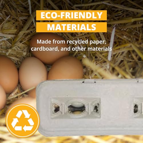 Stromberg's Large Blank Egg Cartons, Bulk Pack for Large Eggs, Perfect for Custom Branding, Safe & Secure Egg Storage, Convenient Stacking for Easy Transport and Storage, 250 Pack