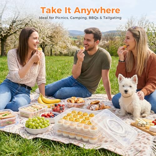 HANSGO Deviled Egg Containers with Lid, Deviled Egg Carrier For 48 Eggs | 2-Layer Plastic Detachable Clear Storage Egg Tray for Refrigerator, Kitchen, Party, Travel, Family Gatherings, Easy