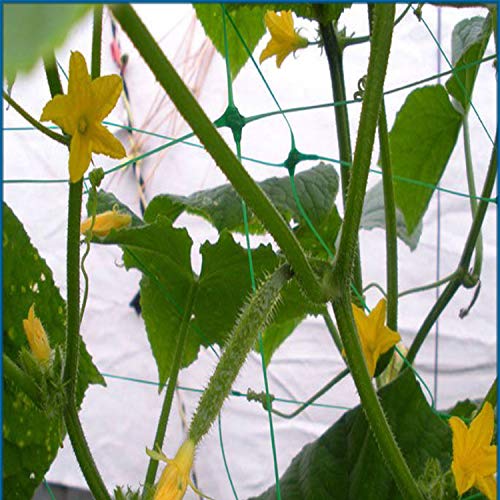 Green Garden Trellis Netting 5x100 ft Heavy Duty Polypropylene Plant Support Net for Climbing Vegetables Fruits Flowers - size: 5x100 ft