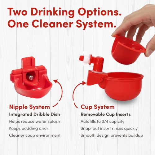 RentACoop 1 Gallon Chicken Waterer with Cups & Nipples
