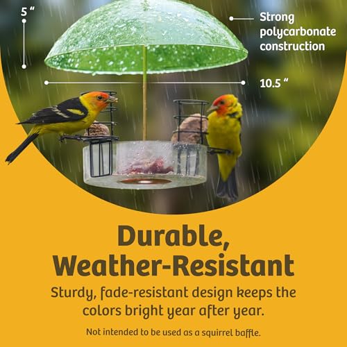 Birds Choice Bird Feeder Dome | 10.5in Rain Guard Cover | Blue | Outdoor Weather Guard for Hanging Feeders, Helps Keep Seed Dry Through Rain and Snow - color: Blue