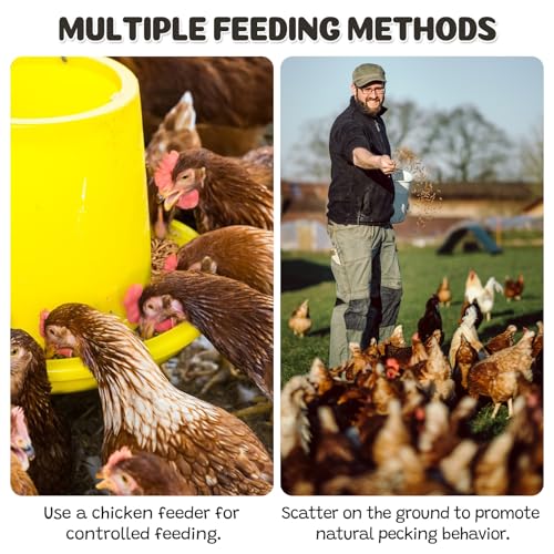 Dried Mealworms 5LB, 100% Natural High-Protein Chicken Treats & Wild Bird Food, Non-GMO Meal Worms for Laying Hens, Ducks, Bluebirds, Reptiles, Hamsters - size: 5 Pound (Pack of 1)
