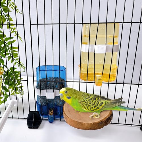 Parakeet Water Dispenser Parrot Water Feeder Bird Seed Container for Cage Cockatiel Cage Accessories Automatic Feeding for Budgies Finch Small Birds 2pcs - color: Coloured, size: 2Pcs