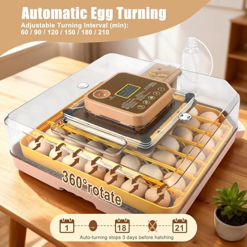 Gen IV - 48 Egg Fully Automatic Incubator, 2026 Upgraded Design, Intelligent Sensor-Based Humidity & Temp Control, Custom Days, Adjustable Auto Turning & Stop, Chick Separator, Flexible Egg Spacing - size: 48 egg-brown