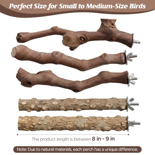 5PCS Bird Perch Stand Natural Wooden Parrot Stand Branch,3 Grape Wood Perch,2 Stand,Paw Grinding Fork Parakeet Chewing Stick Exercise Training Branches for Cockatiels,Small Medium Birds