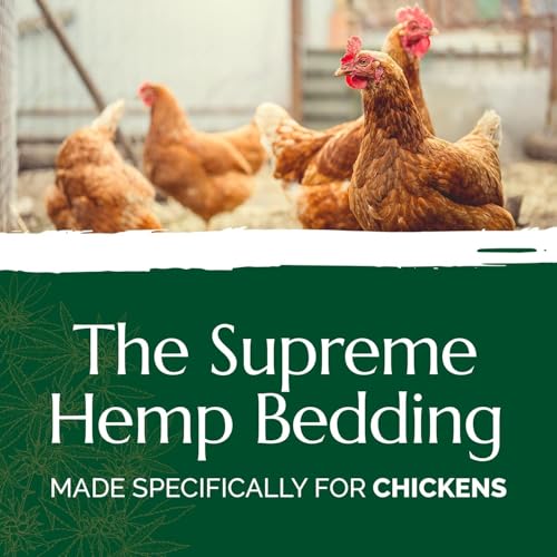 AubiChick High Grade French Hemp Bedding, 44lb (400L) Jumbo Bulk Bag for Chickens, Designed for Chicken Coop Bedding and Comfort of Birds, Poultry, Hairless Pets,(Pack of 2)