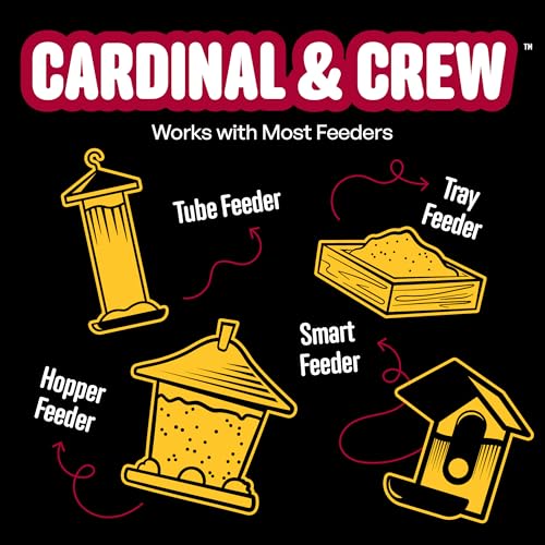 Cool Birds Cardinal & Crew Wild Bird Seed, 10 lb | Black Oil Sunflower, Sunflower Hearts & Safflower Blend for Cardinals, Grosbeaks & Chickadees – Bird Food for Outside Feeders