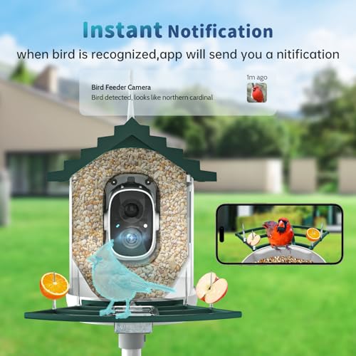 Smart Bird Feeder with Camera Solar Powered & AI Bi rd Identification, 2.4Ghz WiFi Bird feeders for Outdoors, 2K Live Video, Instant Arrival Alerts - Best Gifts for Bi rd Lovers - Green - color: Green