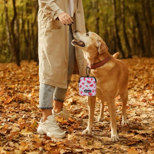 Dog Treat Pouch with Training Clicker,Waterproof Nylon Fabric Poop Bag Holders for Leashes,Hands Free Small Dog Walking Bag with Carabiner, Pet Puppy Training Walking Essentials (Watermelon) - color: Watermelon