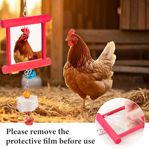 14 Pack Chicken Toys for Coop Chicken Swing Ladder Perch Coop Toy Xylophone Mirror Enrichment Chick Toys Hanging Vegetable Fruits Skewers Feeders for Hen Birds Parrots