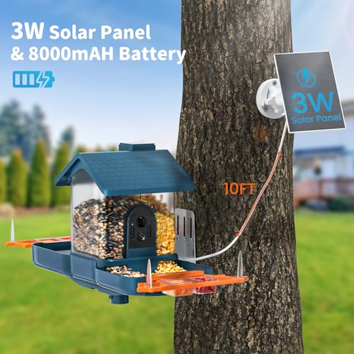 Smart Solar Bird Feeder with Camera & Outdoor Bird Bath | 2K HD Dual-Lens, AI Bird Identification, Instant Mobile Alerts, IP66 Weatherproof, Ideal for Outdoor Bird Watching - color: BLUE
