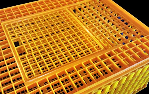 H.D. 29x21x12 Poultry Transport 4H Show CAGE COOP Basket Chicken Crate