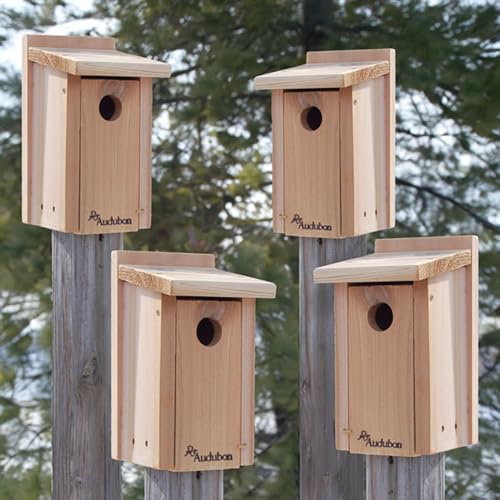 Four Pack of Audubon Cedar Bluebird Houses