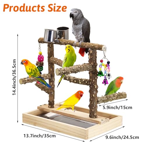 BNOSDM Natural Wood Bird Playground for Training & Playing, Parrot Perch Stand Jungle Gym with Detachable Tray & Stainless Feeder Cups Parakeet Cage Playstand for Budgie, Cockatiel, African Grey - color: Double Column Bird Stand