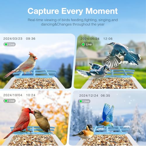 G08 Smart Bird Feeder with Camera, 2K, AI Bird ID, 5W Solar, Blue | Motion alerts, full-color night vision, VicoHome app, IP65 housing, 2.4GHz WiFi and 1.3L seed capacity. - color: G08BLUE