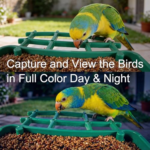 Ceeyali Smart Birds Feeder with Camera and 64GB Memory Card, 2K HD Video & Photo Live View, Solar Powered Panel, AI Birds Identification, 2.4G WiFi, 2.1L Seed Capacity (Green) - color: Green