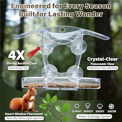Window Bird Feeder with 5 Acrylic ID Cards - Clear Bird House for Outside with Removable Tray & Drain Holes - 4 Strong Suction Cups, Panoramic View for Wild Birds, Cat TV, Nature Gift