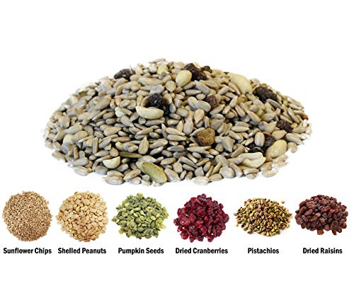 Backyard Seeds Fruit Frenzy No-Waste Bird Seed Mix 5lbs - Premium Blend with Pumpkin Seeds, Cranberries & Pistachios, Small Bag of Wild Bird Food - size: 5 Pound (Pack of 1), style: No Waste Fruit Frenzy