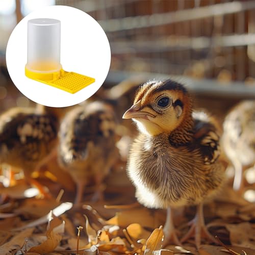 Large Capacity Quail Water Feeder, Quail Feeder, Baby Bird Button Quail Yellow Water Feeder, for Cage, Baby Chick Waterer, Ideal Feeders for Baby Bird