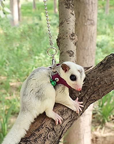 3 Pack Sugar Glider Harness and Leash Set - Adjustable Traction Rope Strap Anti-Biting Chain Rope, Small Animal Training Walking Vest Leash for Sugar Glider Squirrel Hamster Rat Birds Reptile (Purple) - color: Purple