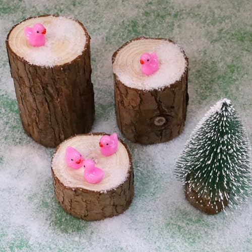 100 Pcs Mini Resin Ducks Tiny Ducks Miniature Duckies Bulk Figures for Garden Micro Landscape Home Prank Game Micro Landscape Aquarium Dollhouse Ornament DIY Handmade School (Rose red) - color: Rose Red