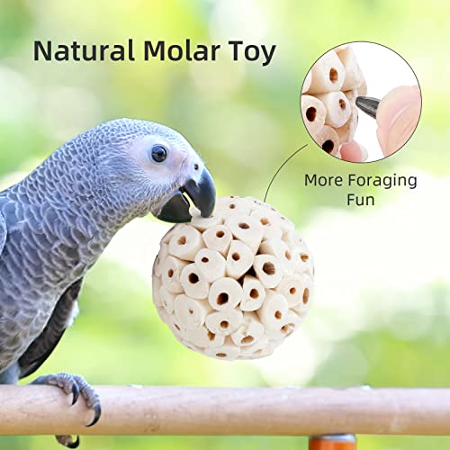 andwe Bird Toy Sola Ball Chew Shredding Toy, Pack of 6 | Fun & Easy to Shred, Natural Soft Foraging Ball For Cockatiel Conure Quaker Parrot Budgie Parakeet - size: Style 1 (Pack of 6)
